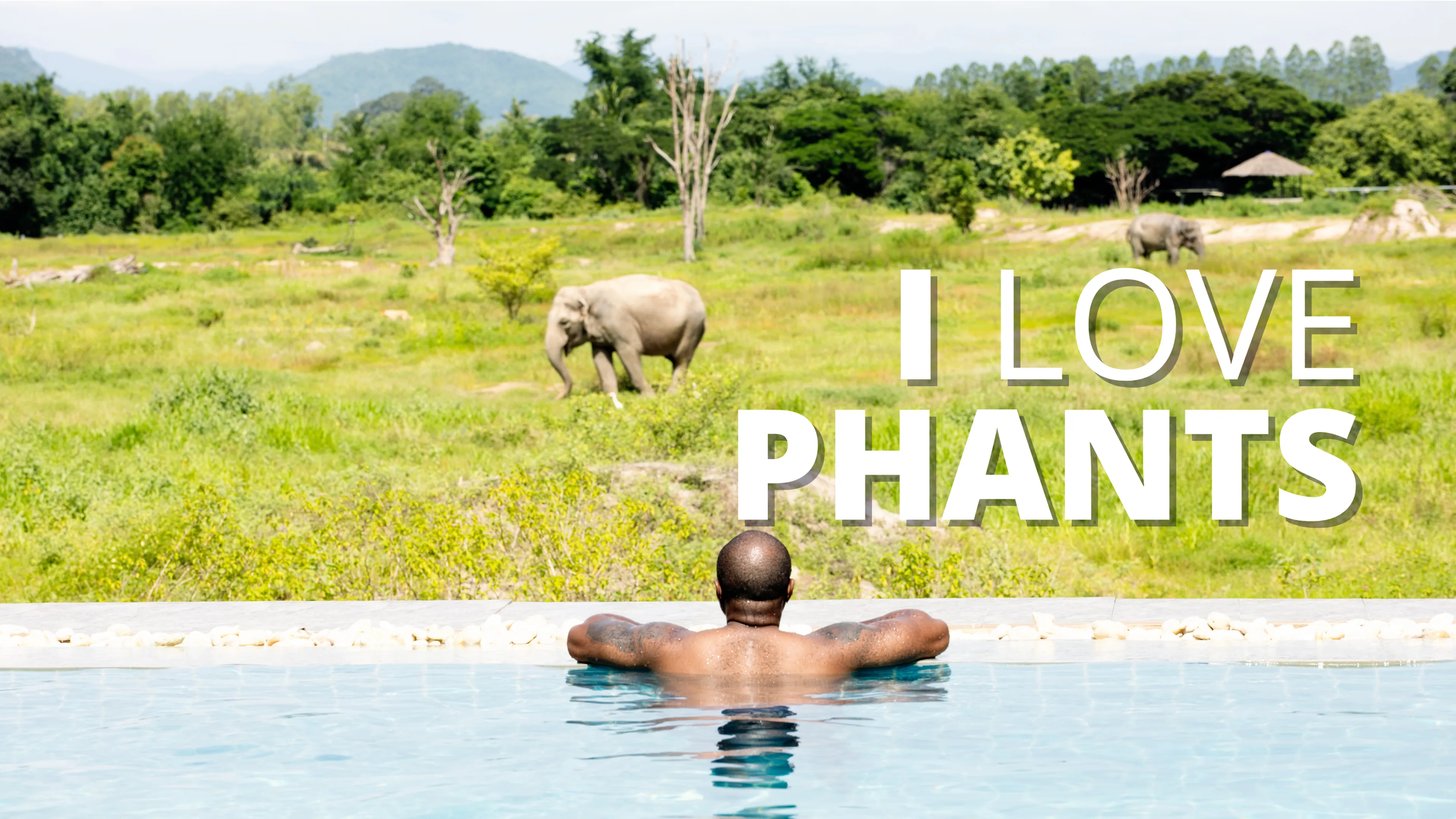 I Love Phants poster